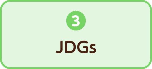 3.JDGs